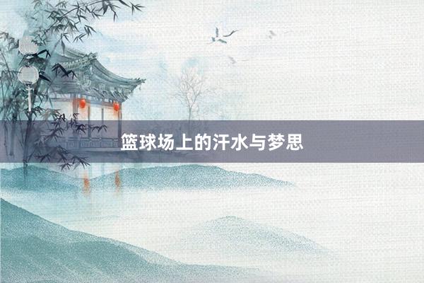 篮球场上的汗水与梦思